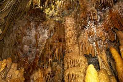 Altamura, tra "cattedrali" e "polpi" la discesa nella magnifica Grotta Torre di Lesco